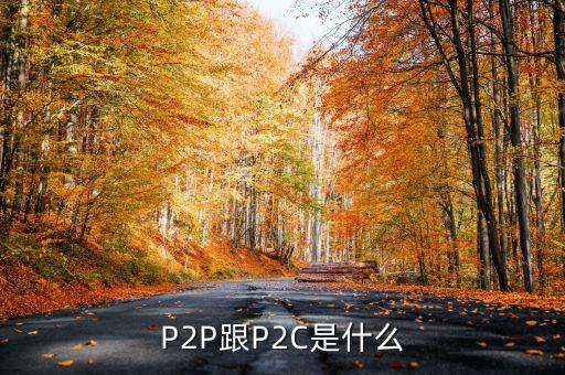 p2c平臺(tái)是什么，什么是P2P什么是P2C