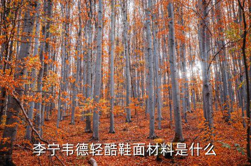 主角鋁材什么價格，沉默是金 議論文 求材料