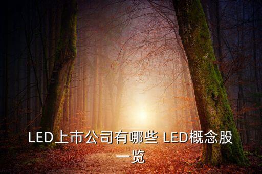 上市公司鴻什么視訊，視訊行業(yè)有哪些公司