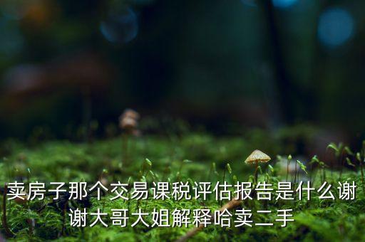 交易課稅是什么意思，名詞解釋證券交易稅