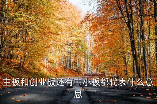 滬市主板是什么意思，什么是主板中小板和創(chuàng)業(yè)板它們都是干什么的請用白話簡短精