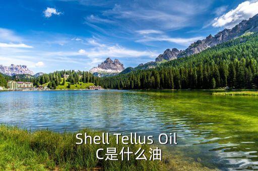 權(quán)益油是什么，Shell Tellus Oil C是什么油