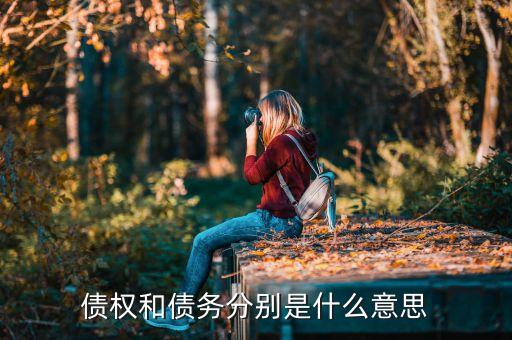 金融債務(wù)負(fù)擔(dān)是什么意思，Amortization financial debt 是什么意思