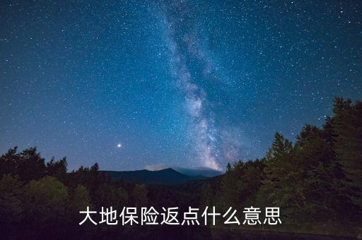 大地保險返點什么意思