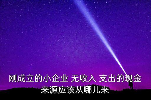 小企業(yè)主為什么沒現(xiàn)金，剛成立的小企業(yè) 無(wú)收入 支出的現(xiàn)金來(lái)源應(yīng)該從哪兒來(lái)