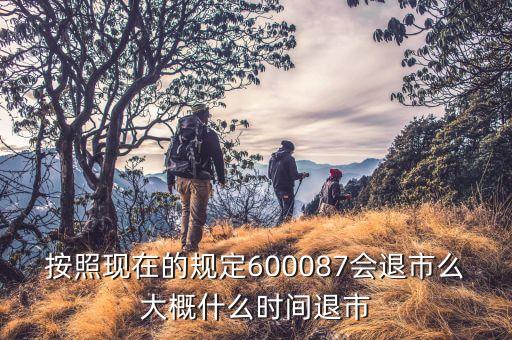 600087什么時(shí)候到3版，按照現(xiàn)在的規(guī)定600087會(huì)退市么大概什么時(shí)間退市