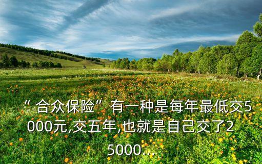 “ 合眾保險(xiǎn)”有一種是每年最低交5000元,交五年,也就是自己交了25000...