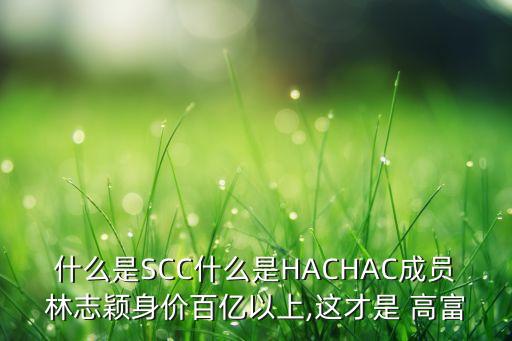 什么是SCC什么是HACHAC成員林志穎身價(jià)百億以上,這才是 高富