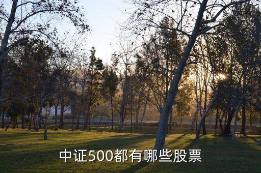 中證500都有哪些股票