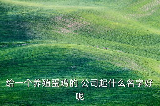 給一個養(yǎng)殖蛋雞的 公司起什么名字好呢