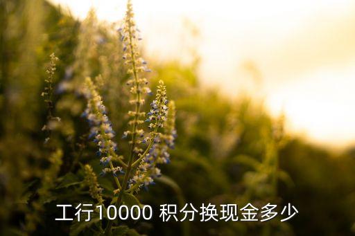 工行10000 積分換現(xiàn)金多少