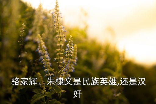 中國(guó)人為什么討厭?cǎi)樇逸x