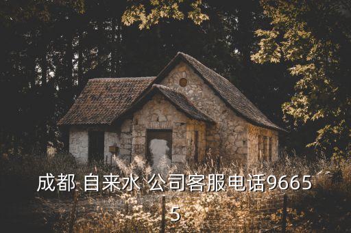 大盈自來(lái)水公司