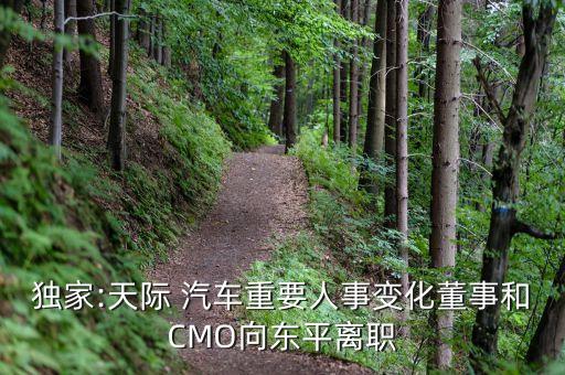 獨(dú)家:天際 汽車重要人事變化董事和CMO向東平離職