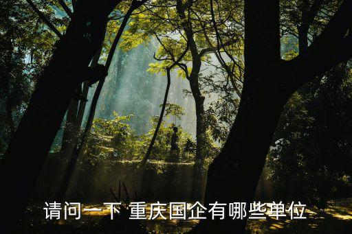 請(qǐng)問一下 重慶國(guó)企有哪些單位