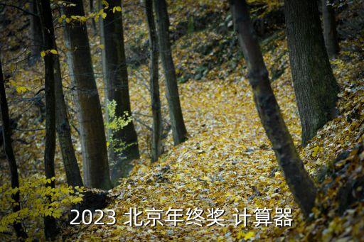 2023 北京年終獎 計算器