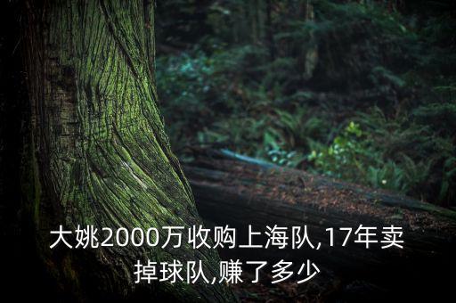 大姚2000萬(wàn)收購(gòu)上海隊(duì),17年賣(mài)掉球隊(duì),賺了多少