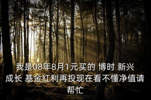 我是08年8月1元買的 博時 新興成長 基金紅利再投現在看不懂凈值請幫忙