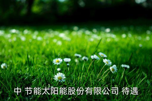 中 節(jié)能太陽(yáng)能股份有限公司 待遇