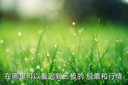 萬德數(shù)據庫輸入股票代碼