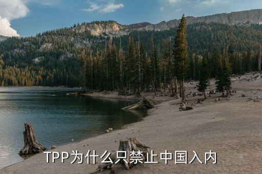 TPP為什么只禁止中國(guó)入內(nèi)