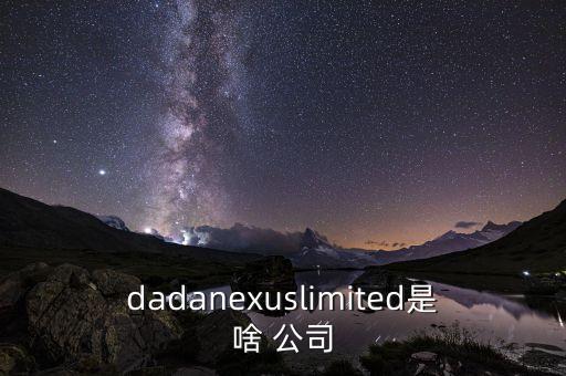 dadanexuslimited是啥 公司