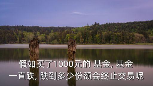 基金最低跌到多少,基金跌到歷史最低點可以入手嗎