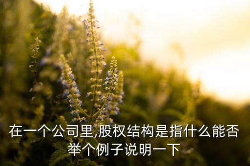 在一個公司里,股權結構是指什么能否舉個例子說明一下