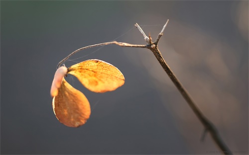 賣(mài)水產(chǎn)利潤(rùn)怎么樣,趕集賣(mài)海鮮利潤(rùn)怎么樣